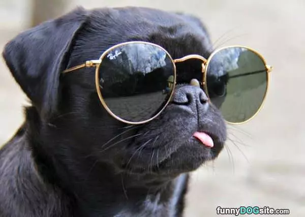 Chillin On A Sunny Day