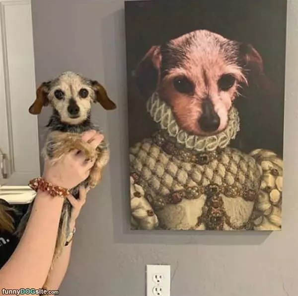 I Am King Here