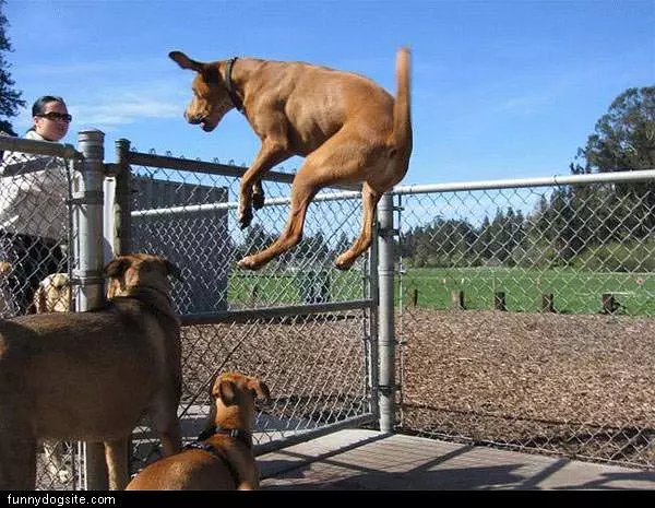 High Jump
