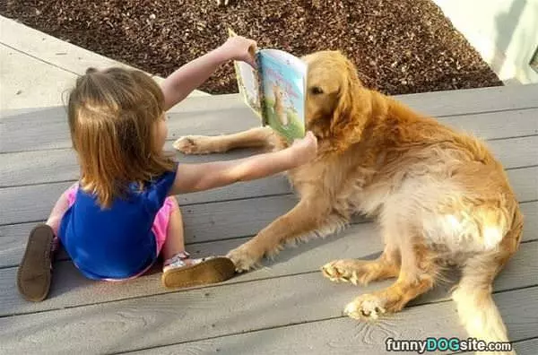 Learning To Read