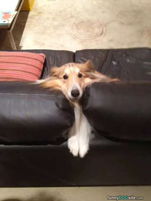 Hello There I Am Stuck