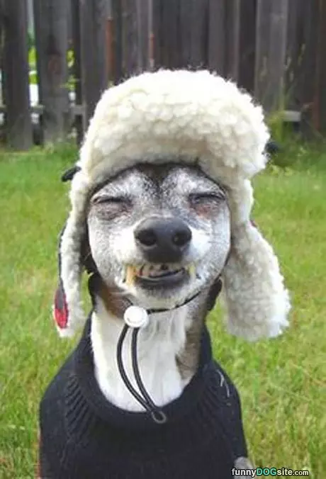 Got My Warm Hat On