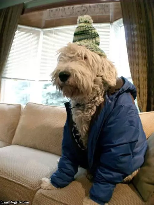 All Dressed For The Cold
