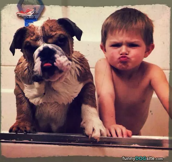 Little Boys Best Friend