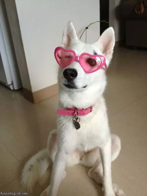 Looking Fabulous