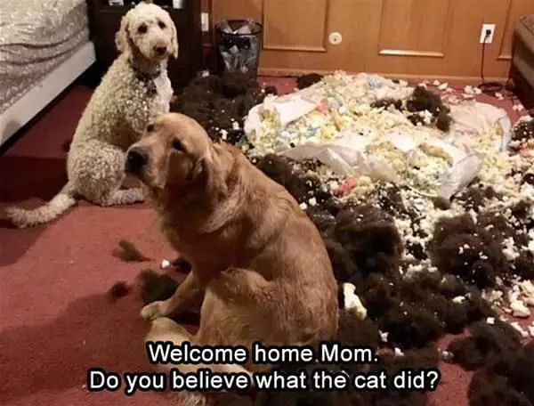 Welcome Home Mom