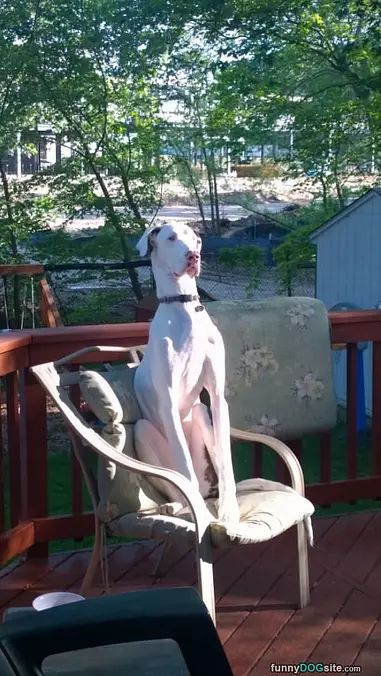 Sitting Tall