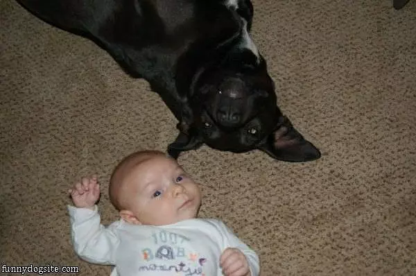 Me And My Doggy