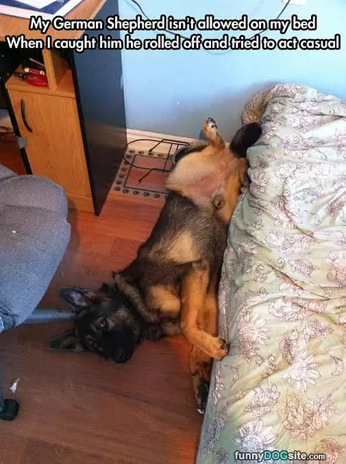 Act Natural