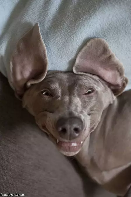 Im Smiiiilling