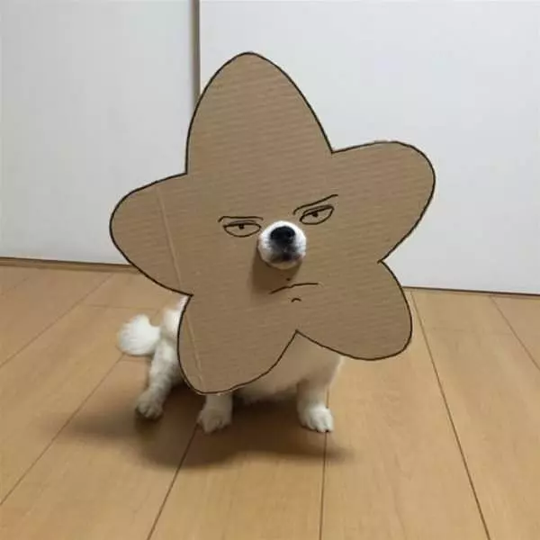 I Am A Happy Flower