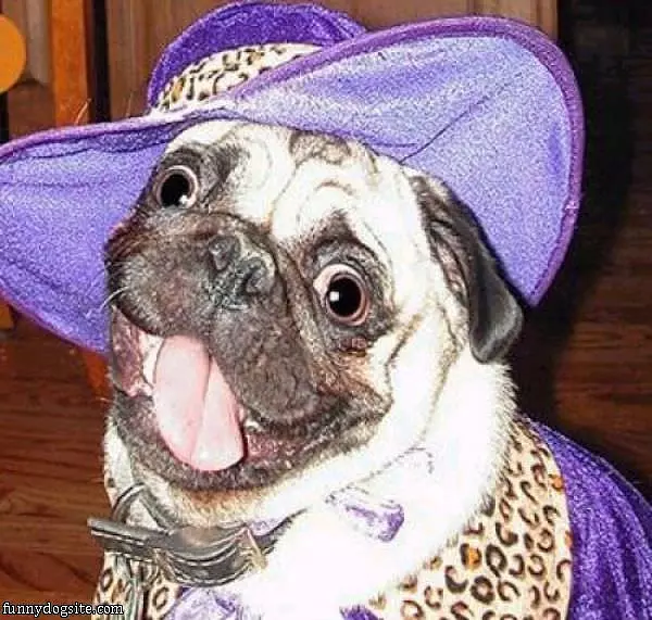Do You Likes My Hat