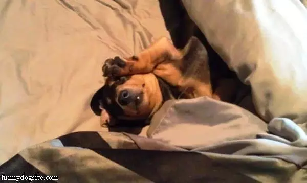I Dont Want To Wake Up Yet