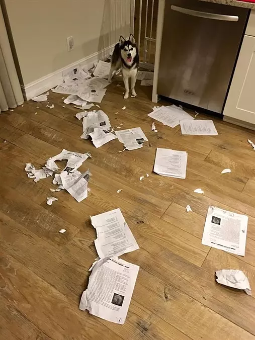 It Was Me
