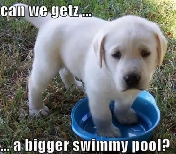 Can We Please