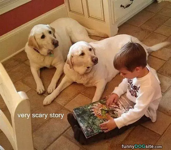 Scary Story