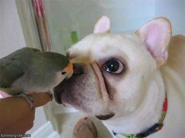 Can I Eat It