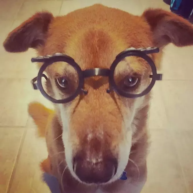 Nice Glasses