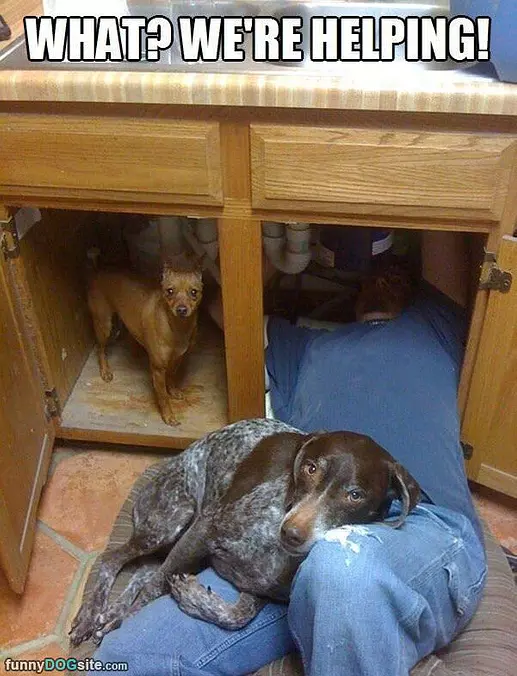 Just Helping