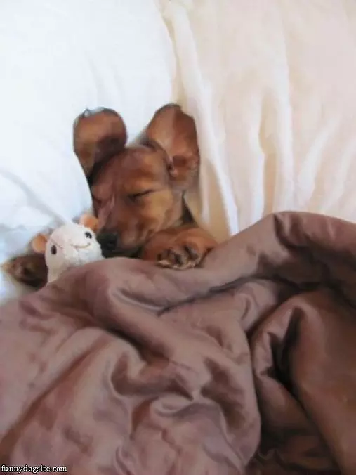 So Sleepy