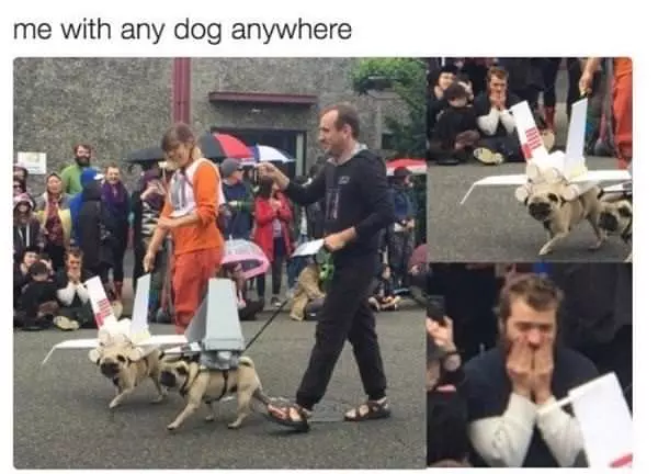 Me With Any Dog