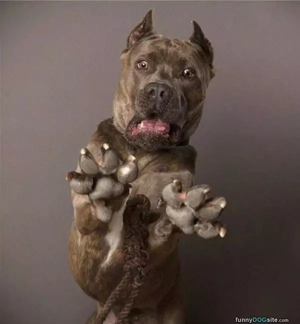 Scared Of The Camera