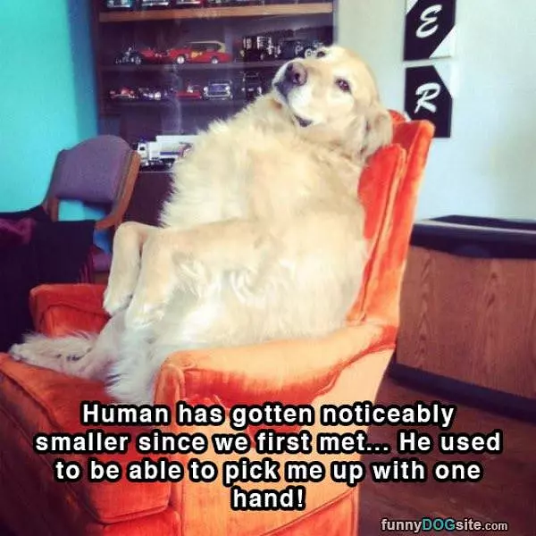Human Has Gotten Smaller