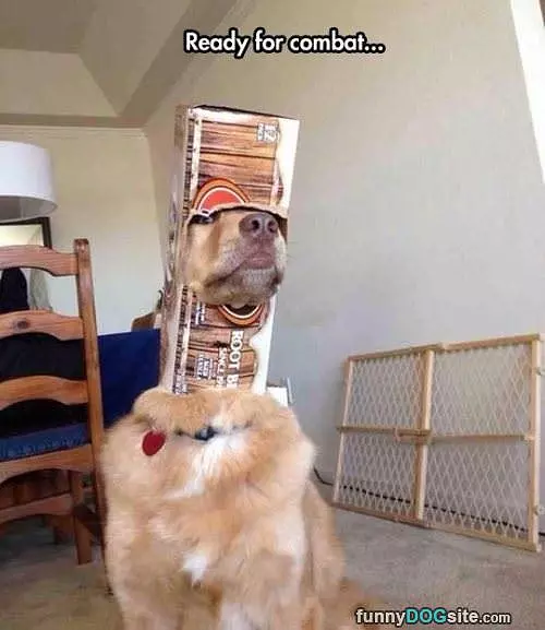 Ready For Combat
