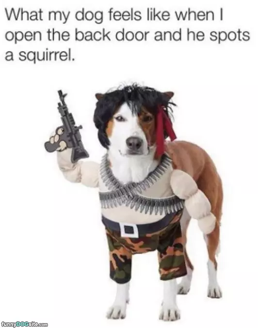 Spots A Squirrel