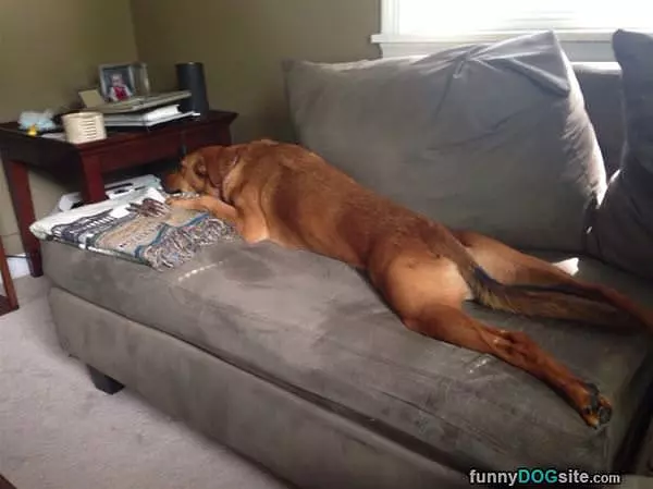 Best Sleep Ever