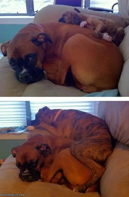 I Am A Bed Now
