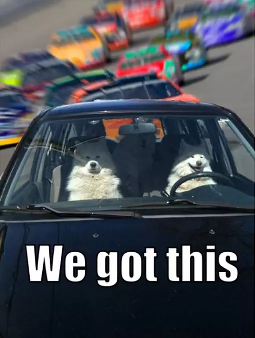 We Got This