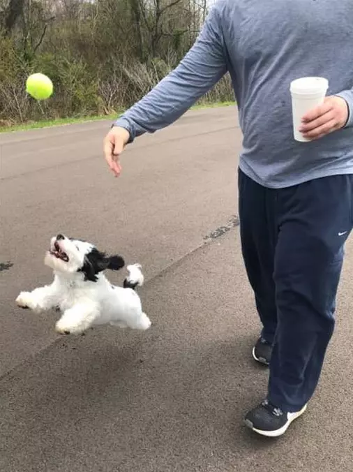 Jumping For Joy