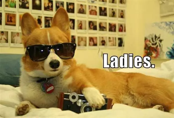 Ladies