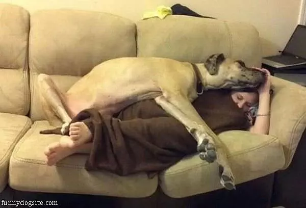 This Is How We Sleep