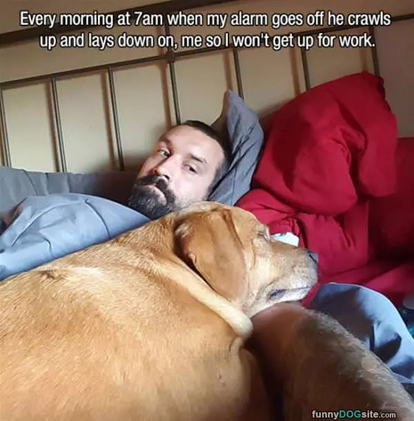 Please No Work Today