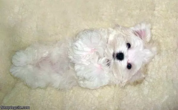 Sleeping Funny