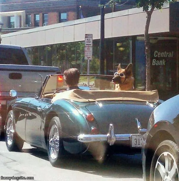 Going For A Ride