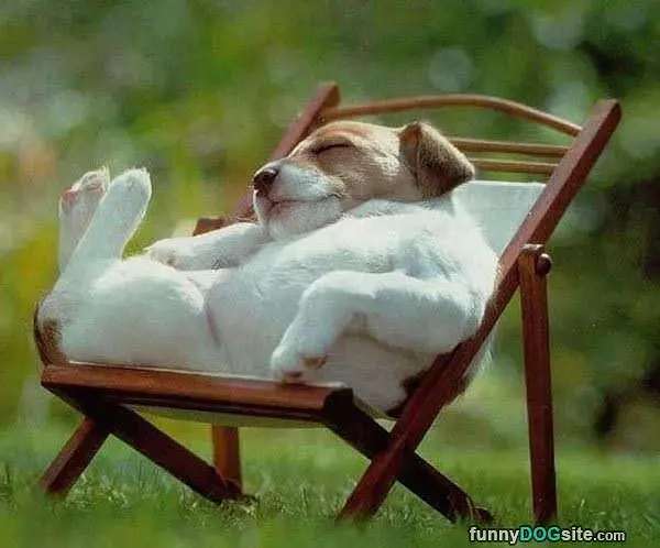 Lounging