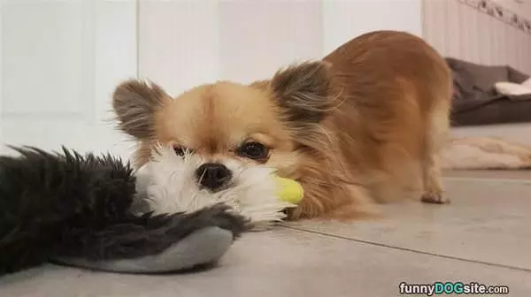 Can We Play Now Please
