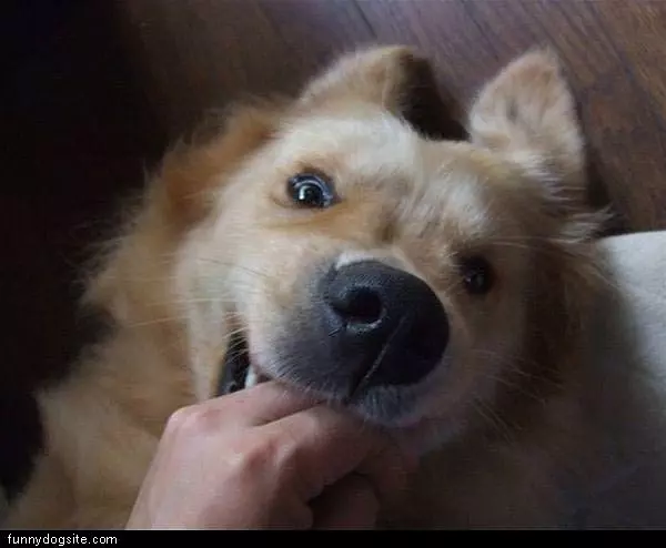 Eat My Hand