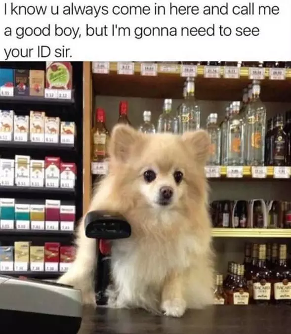 Need To See That Id