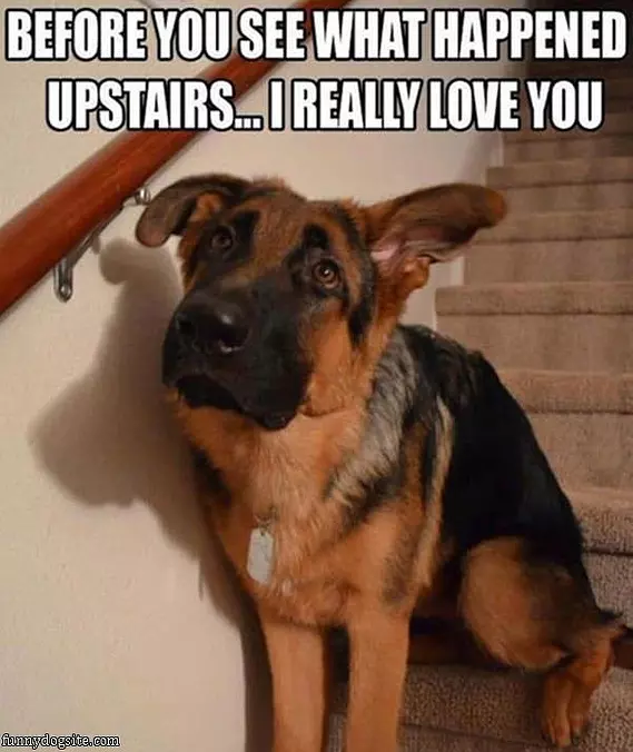 Before You Go Upstairs