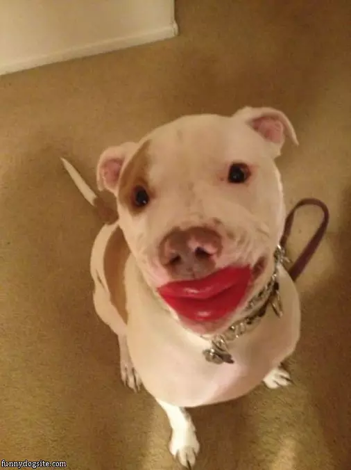 Give Me A Big Kiss