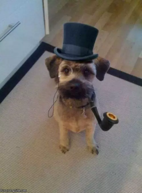 Good Day Sir