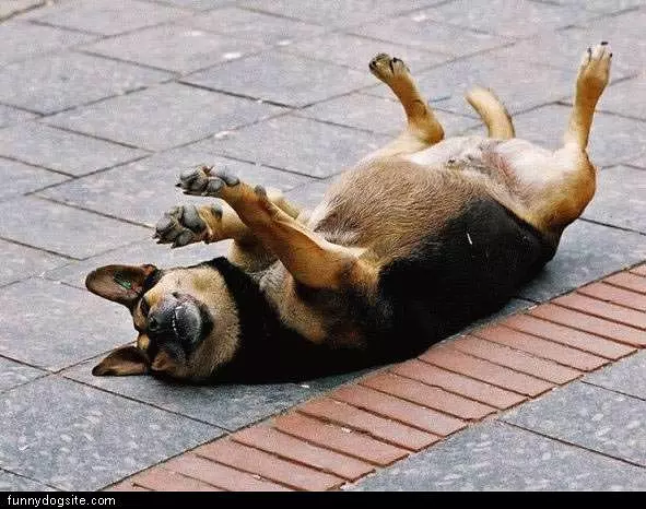 Splayed Out