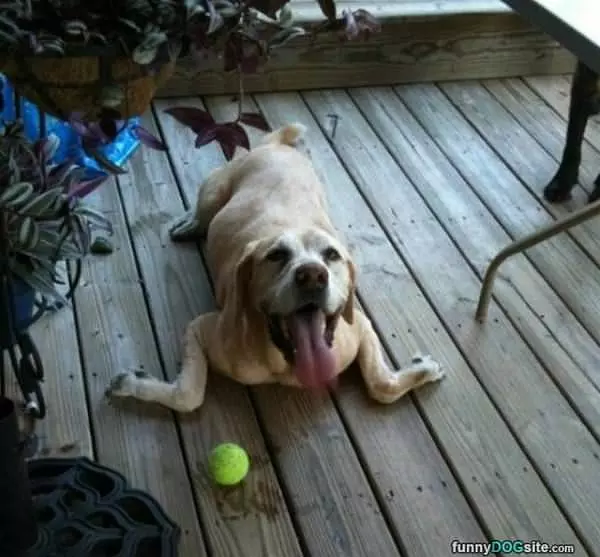 I Got The Ball