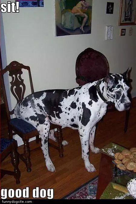 Sit