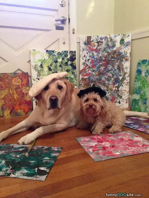 Dogs With Hats