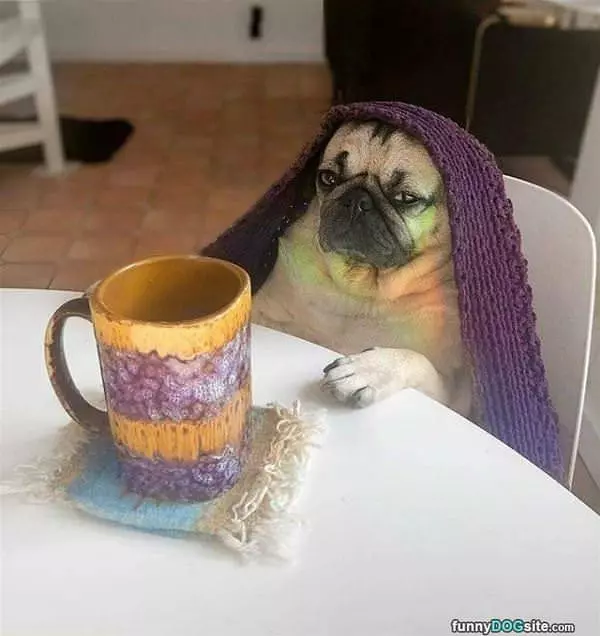 Chilling Here